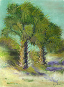 Beach Palmettos