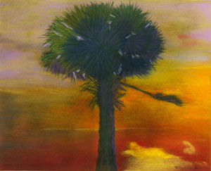 Palmetto in Sunset