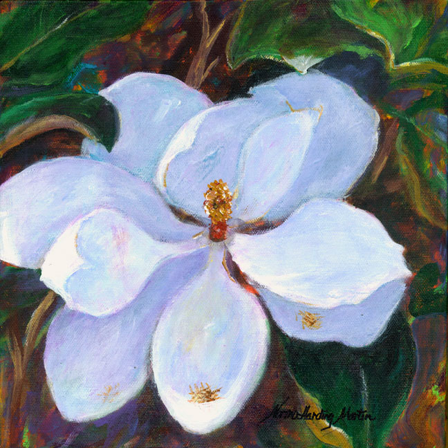 Magnolia