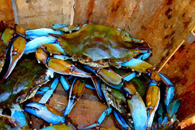 Charleston Blue Crabs by Paul Silva