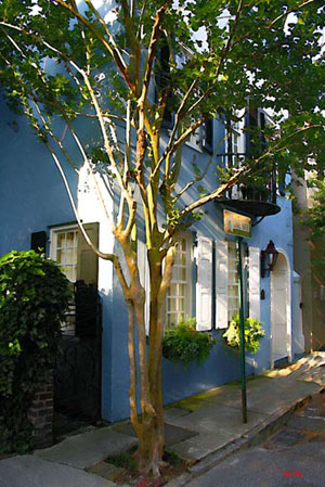 Lower Tradd  Street Charleston