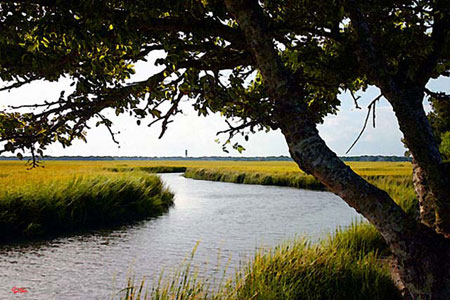 Marsh view lighthouse